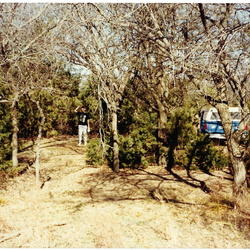 1989